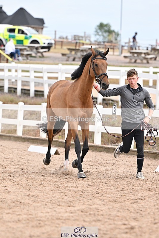 250716-151606-01832 - Trot Up 2.30 to 3.30