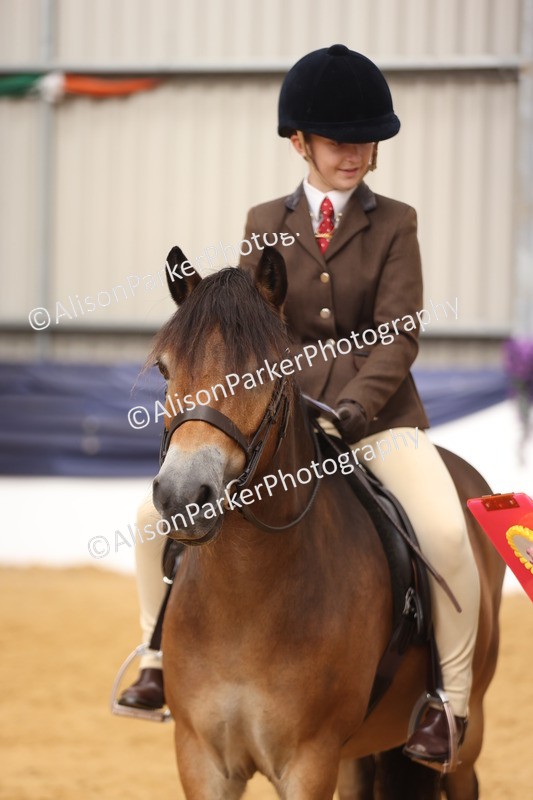 20260913-0662 - Class 126 - Novice Ridden