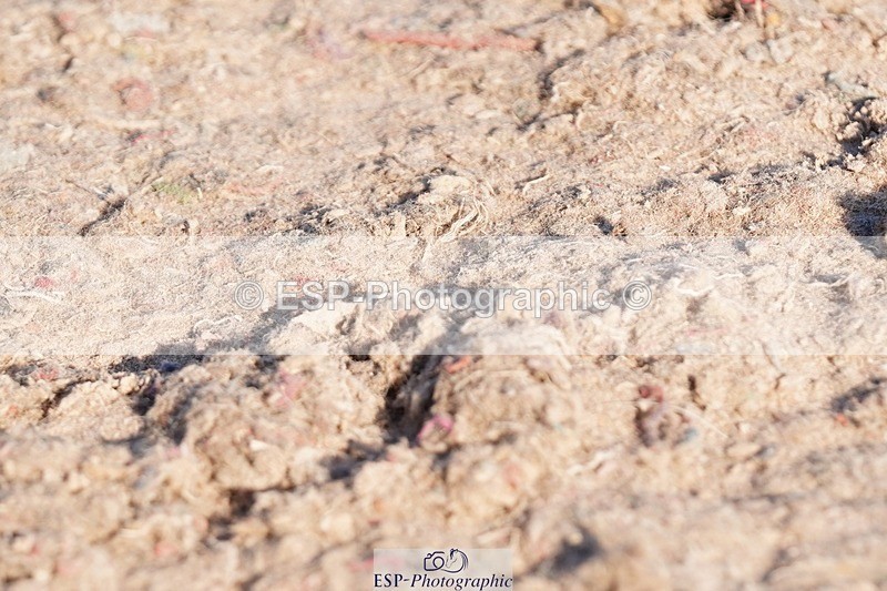 250510-181524-12423 - Cls 18 Chard Eq Derby