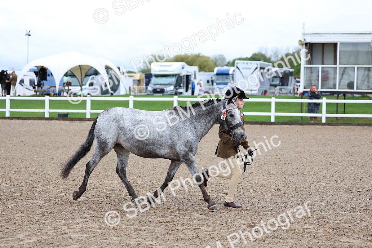 SBM_00254 - Class 13 - Young Handler