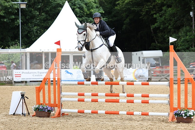3E7A6266 - Class 4: Senior British Novice/90cm open