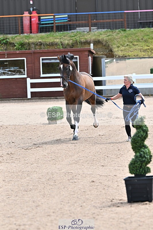 240718A-105236-00876 - Trot Up 11am to 12pm