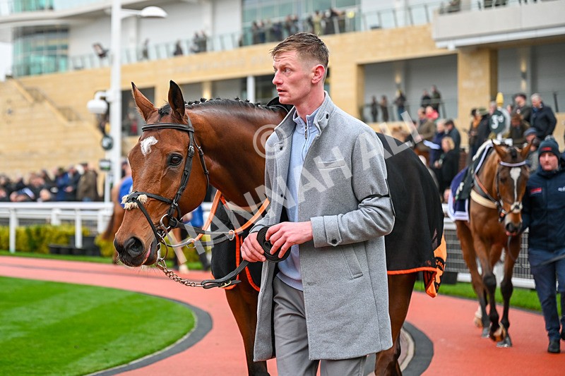 131224-Race 5-Seddon-9758