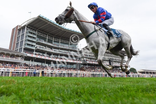 yr23072022r5-36 - Race 5 4.25pm Sky Bet UK's No1 Betting App Stakes