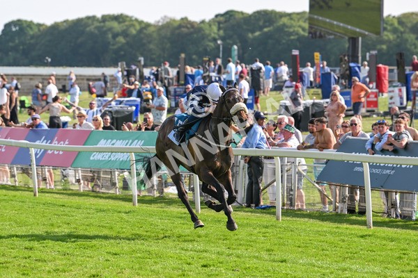 130625-Race 7-Dawn Of Liberation-0162 - Race 7 5.20pm Irish Thoroughbred Marketing Handicap