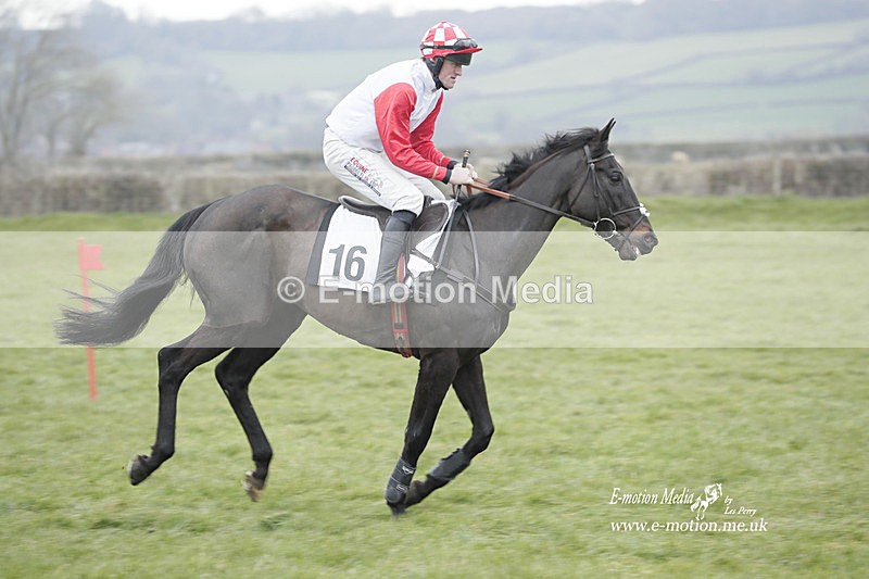 PtP 050323 785 - Blackmore & Sparkford Vale Hunt PtP - Somerset 05/03/23