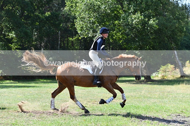 WJ5_2174 - XC Time 10:54 to 11:14