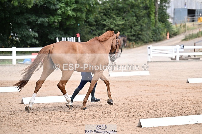 250716-130821-00353 - Trot Up 12.30 to 1.30