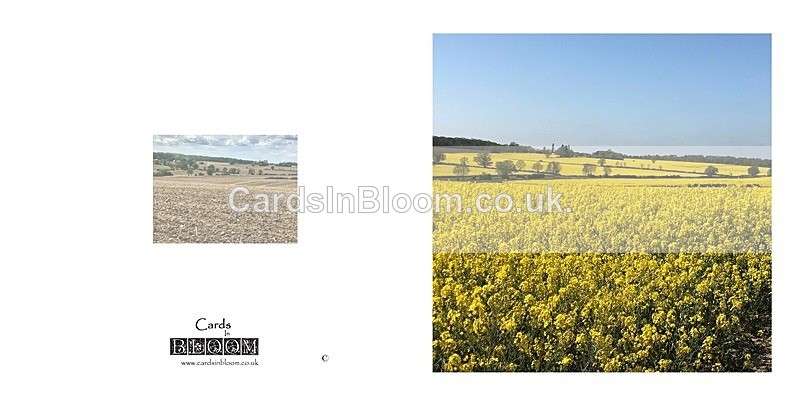 01 A New Dawn - A NEW DAWN