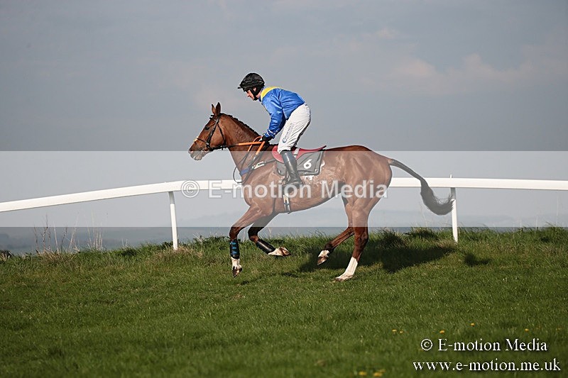 PtP 210418 589 - South & West Wilts Point-to-Point Larkhill 21/04/18
