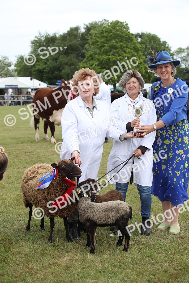 SBM_07879 - Grand Parade