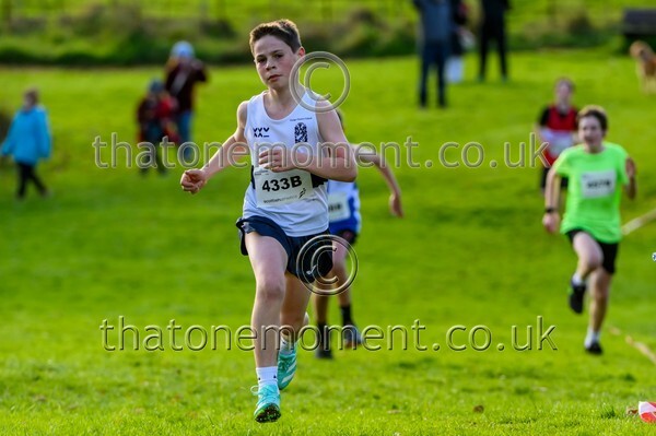 NatRel25-925447 - Young Male Set Two