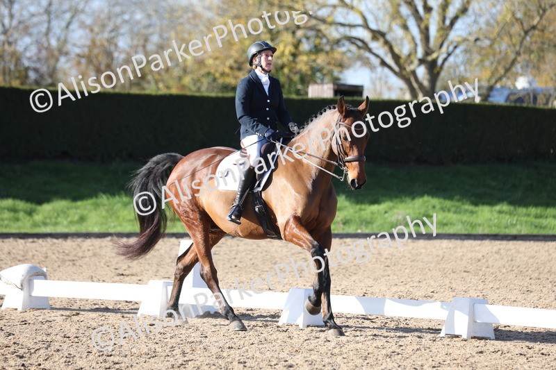 20251102-1019 - Class 5 - Elementary 5