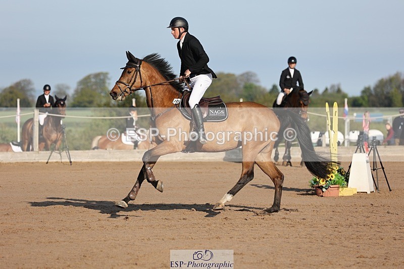 250427-083713-14561 - Cls 28 Young Horse 5yr old