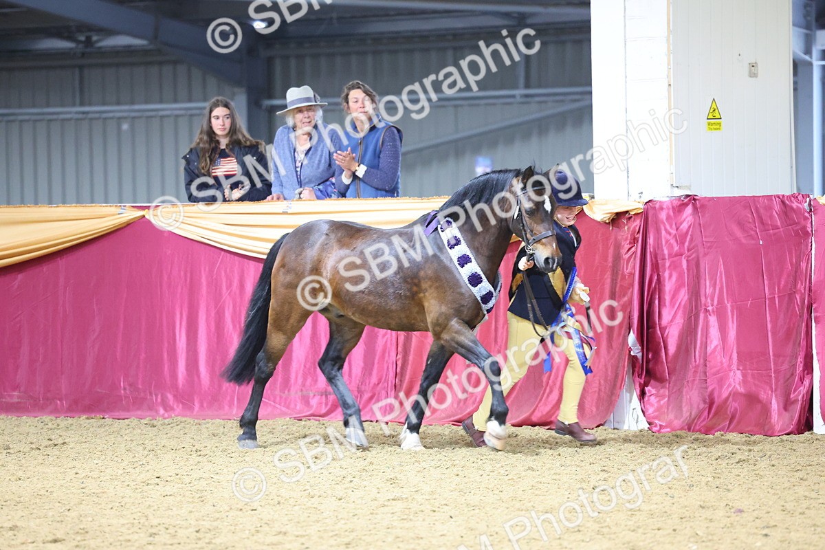 SBM_18609 - Class B Junior Champ 11-16 years