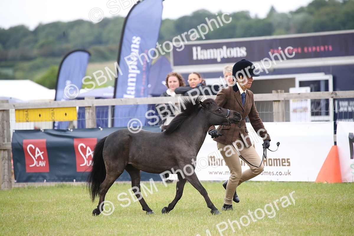SBM_03872 - Class 23-25 - British Miniature Horse of the Year