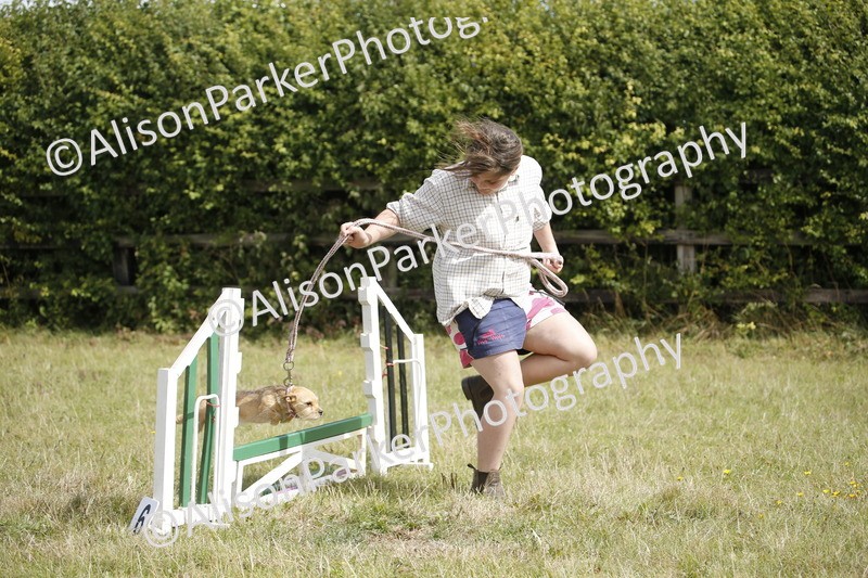 20250831-3883 - Dog Show