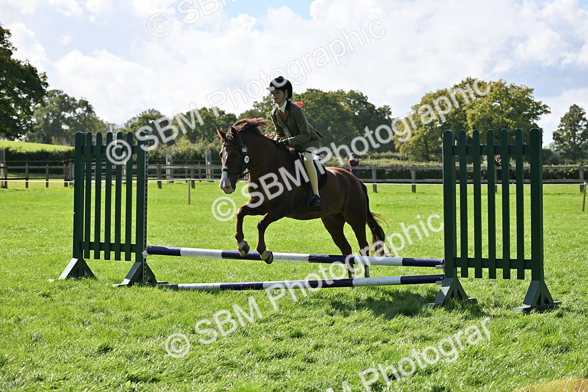 SBM_44564 - S13 - Pony Club Pony