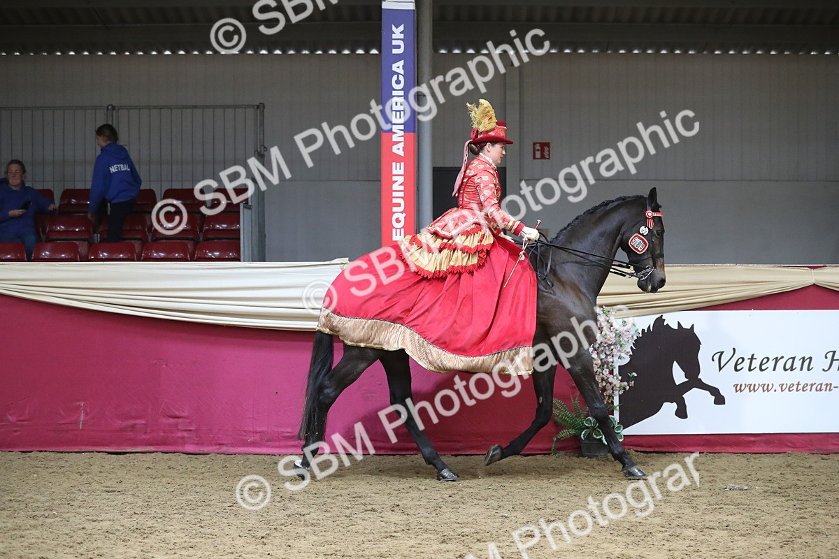 SBM_12103 - Class 107 Ridden Costume- Astride Adult (20+)