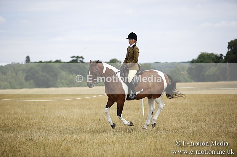 _C7A9511 - BVRC Show 2018 Ring 1