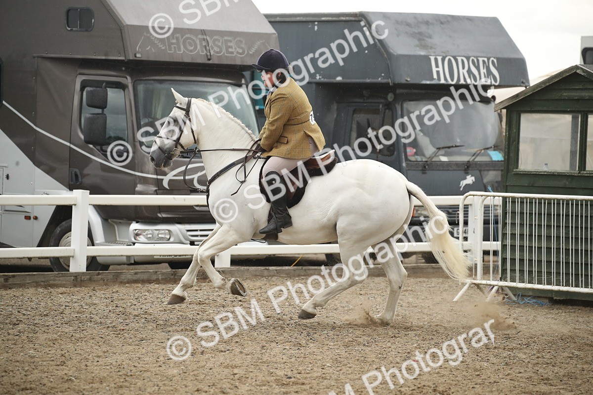 SBM_18439 - Class 510a - Working Veteran 90cm (15-19)