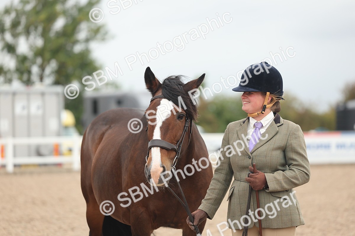 SBM_19867 - Class 318 - IH Part Bred Horse-Pony