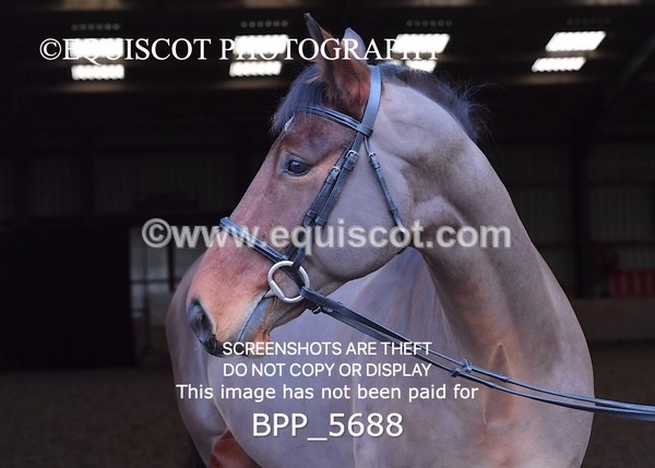 BPP_5688 - Imogen Gray