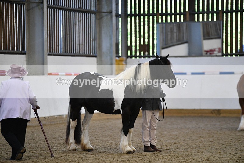 WJ5_5449 - Class 8 In hand cob