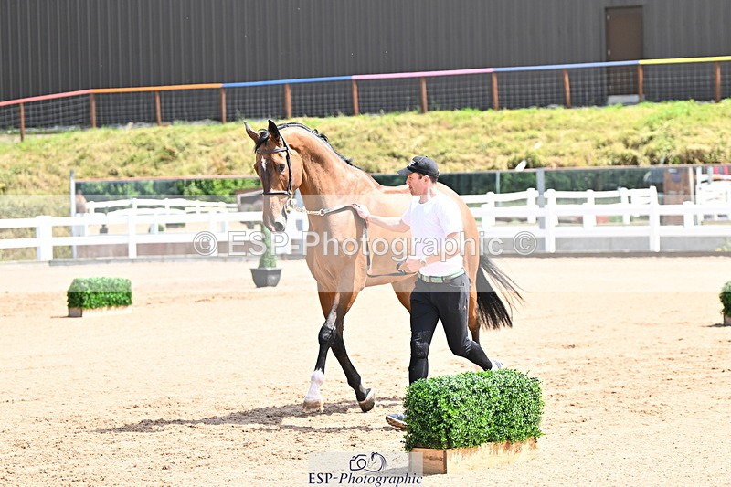 240718A-105248-01177 - Trot Up 12pm to 1pm