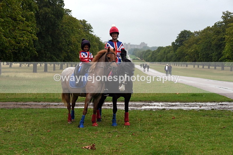 TT3_8061 - Time at Crossing 09:15 to 10:15