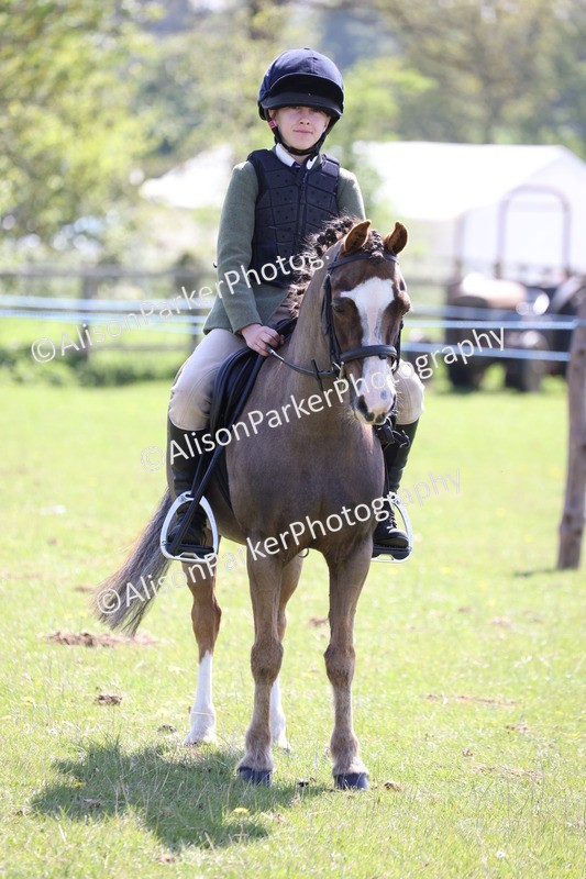 20250427-3282 - Class 33 - Best Pony 14.2hh and Under
