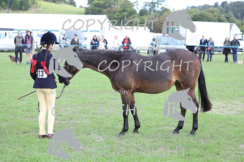 APP_2630 - Class 9 Veterans in hand