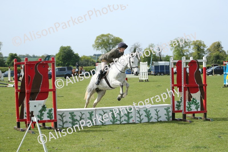 20260426-1793 - Class 14 - Novice 60cm