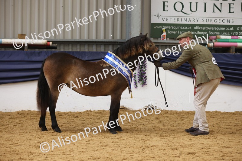20260913-1682 - Pony of the Year Championship