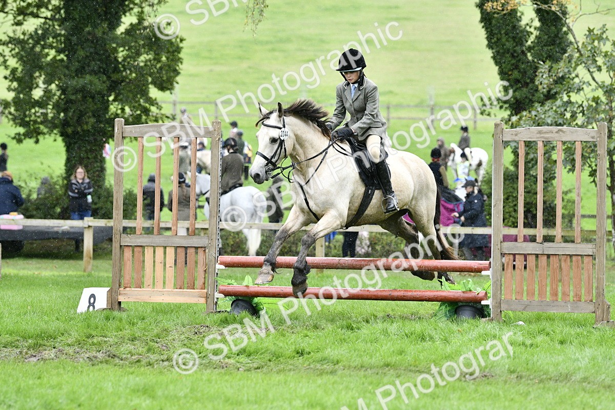 SBM_42305 - S32 - Mountain & Moorland Working Hunter Pony