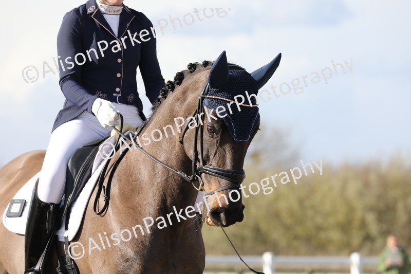 20260314-5021 - CT6 - Elementary 1