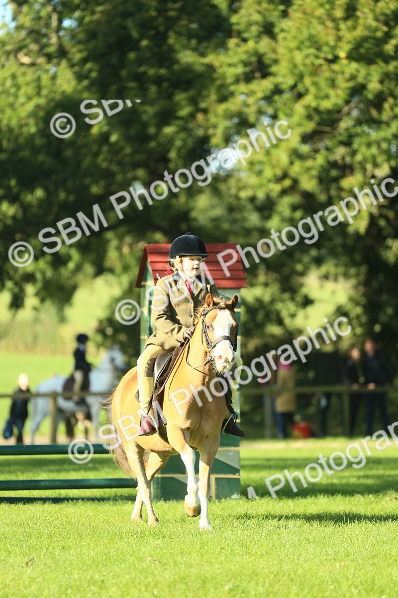 SBM_36346 - S29 - Novice & Newcomers Working Hunter Pony