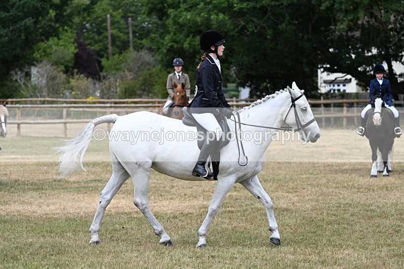 WJ7_0594 - Class 2 Best rider