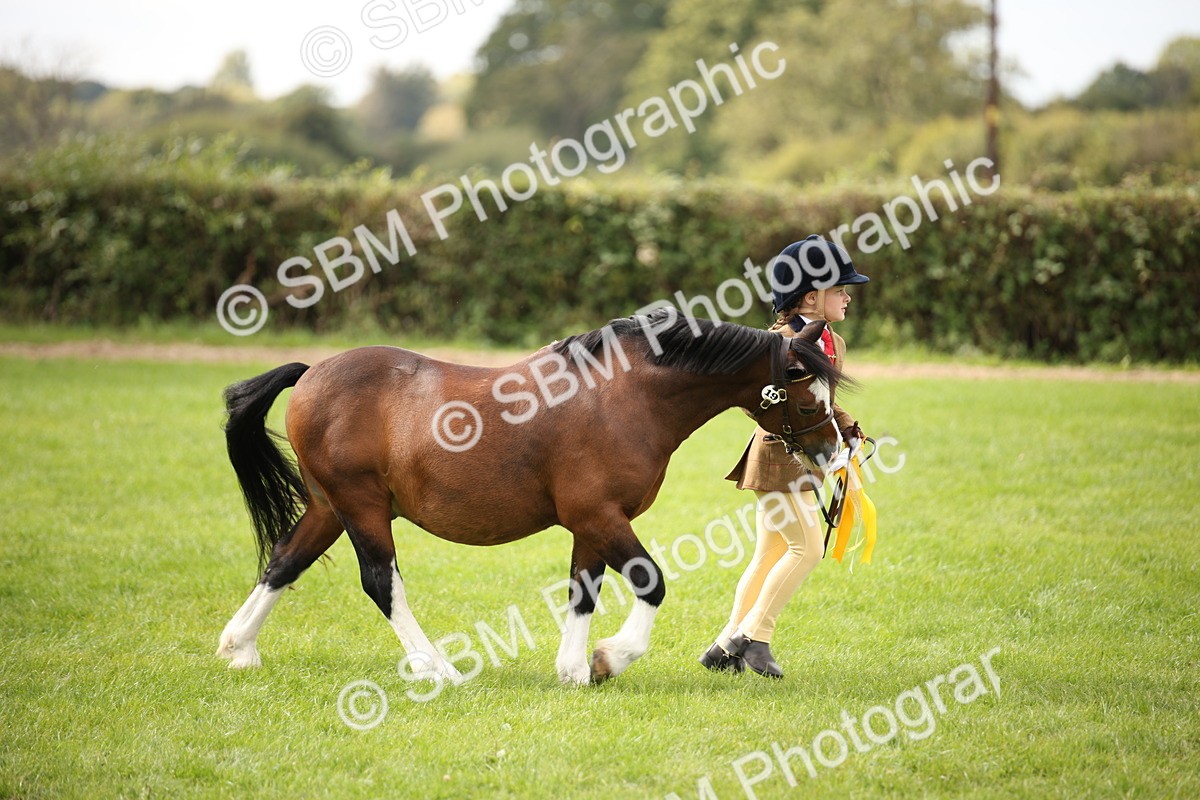 SBM_44537 - S24 - Young Veteran in hand