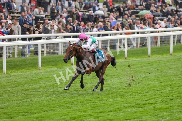 080924-Race 1-Windlord-4338 - Race 1 1.40pm British European Breeders Fund Novice Stakes