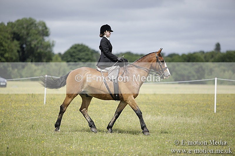 BVR160717-1989 - Side Saddle Classes 16/07/17
