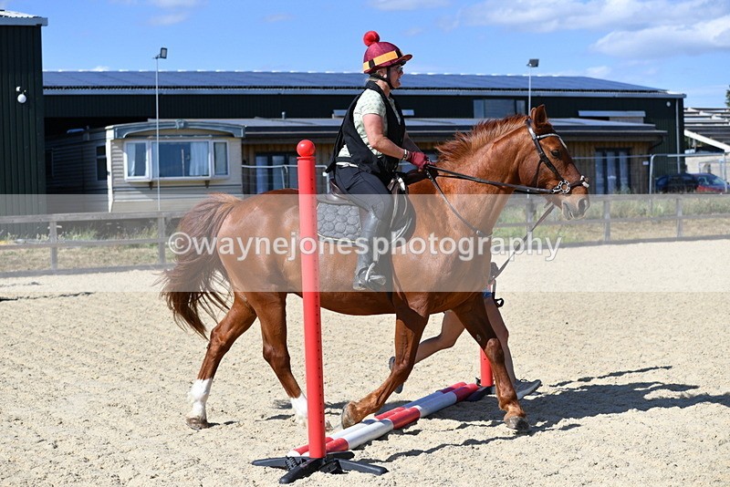WJ5_5326 - Poles on the Floor