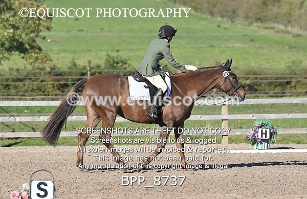BPP_8737 - SHORT ARENA