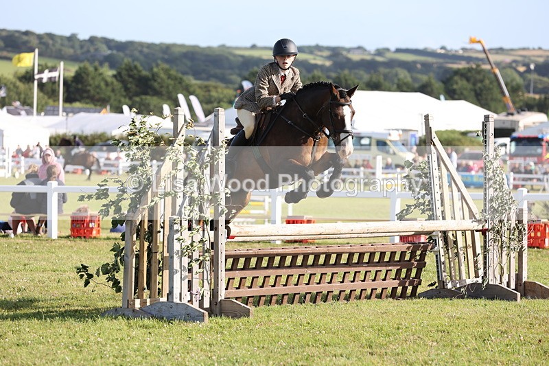 JPP_3221 - Class 21: Working Hunter 80cm