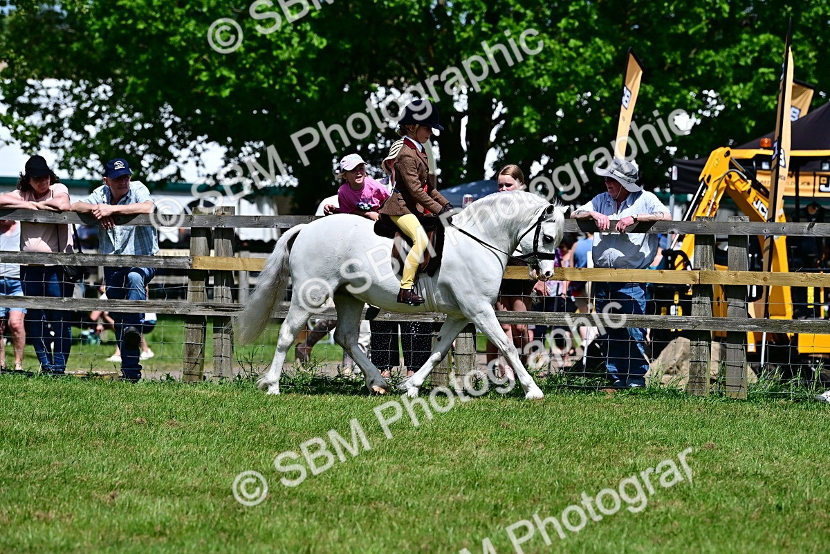 SBM_06427 - Class 59-60 - TSR M&M  Lear Rein and First Ridden Amateur of the year