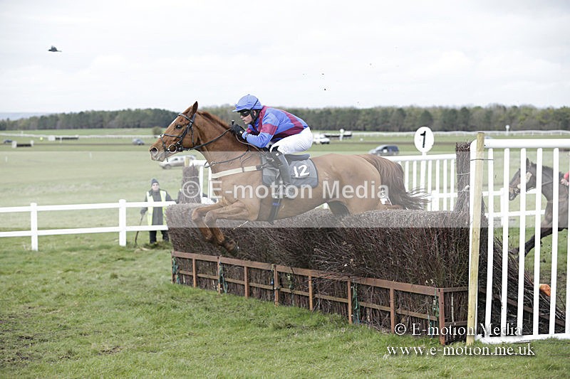 PtP 150320 0670 - New Forest Point-to-Point Larkhill 15/03/20