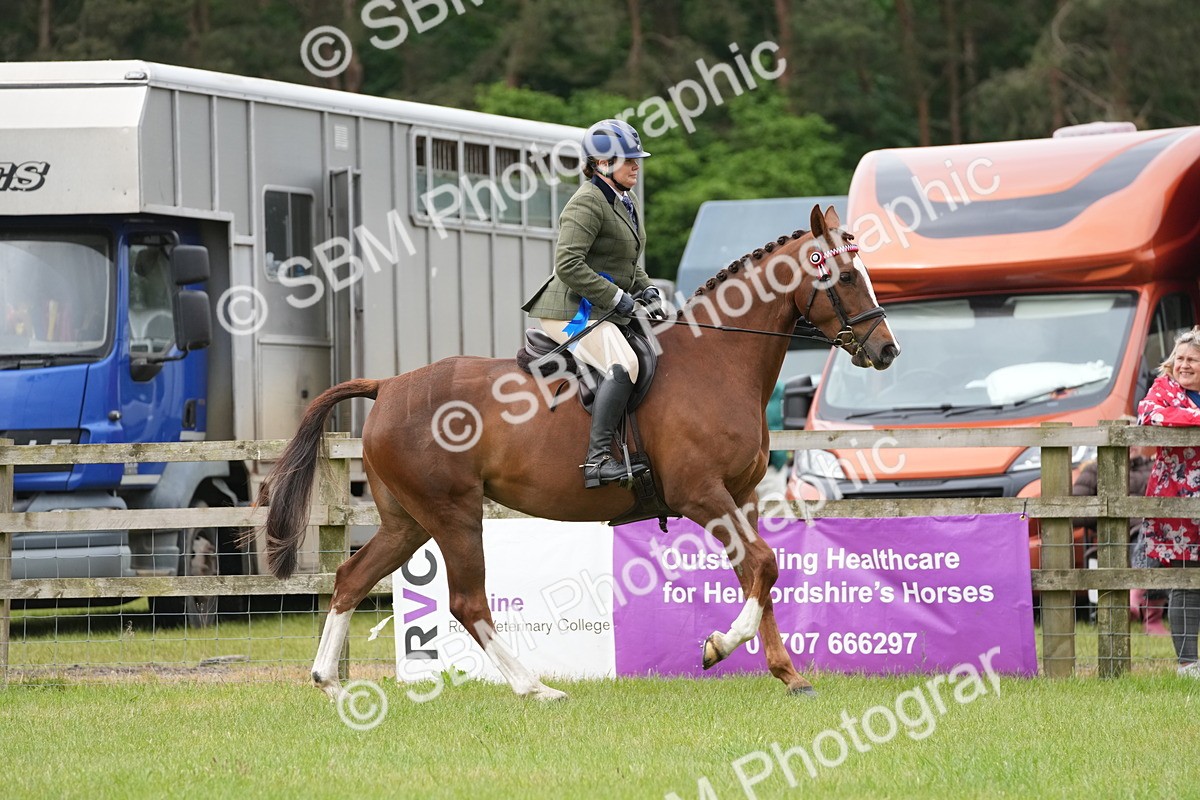 SBM_10659 - Class 97-98 - LIHS BSHA Rising Star Working Show Horse Hunter