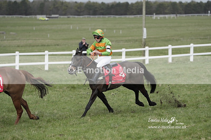 PtP 260323 1021 - New Forest Hounds Point-to-Point Larkhill 26/03/23