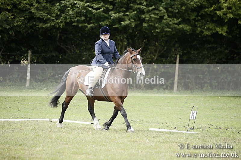 BVR080918 171 - BVRC Novice Dressage & CR 08/09/18