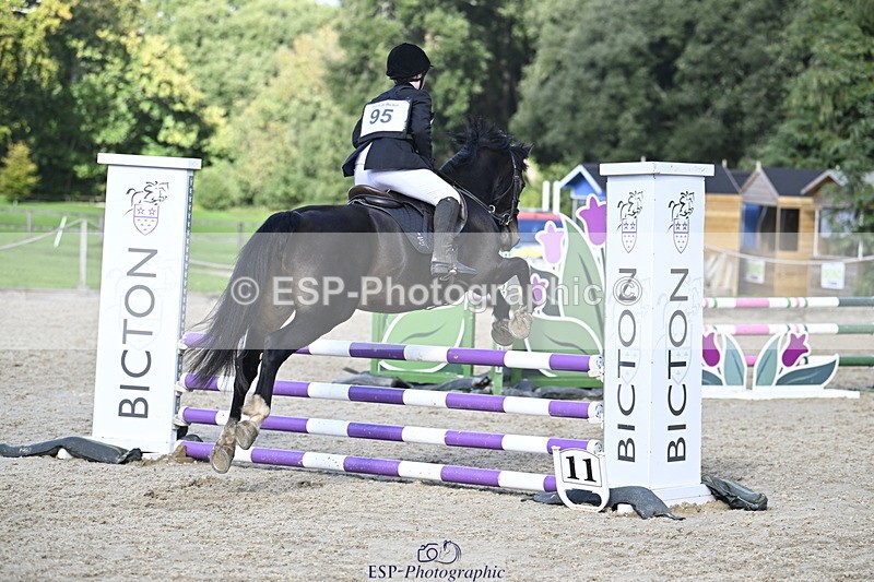 251005A-144645-04584 - Cls 09 Nov 80-85cm